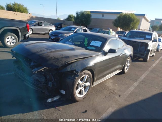 Photo 1 VIN: 1FA6P8AM6H5227123 - FORD MUSTANG 