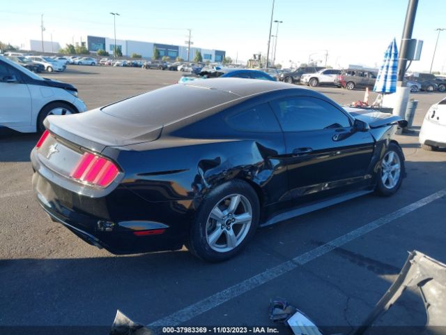 Photo 3 VIN: 1FA6P8AM6H5227123 - FORD MUSTANG 