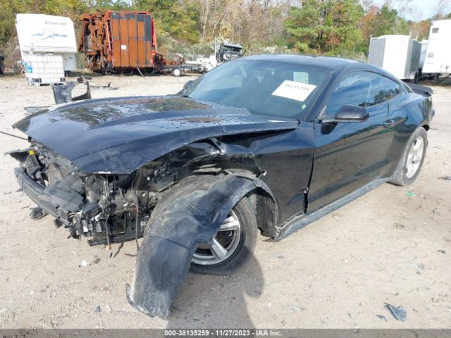 Photo 1 VIN: 1FA6P8AM6H5248960 - FORD MUSTANG 