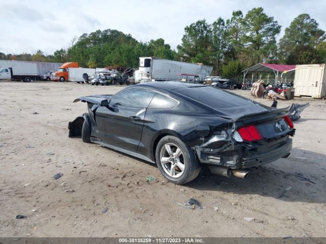 Photo 2 VIN: 1FA6P8AM6H5248960 - FORD MUSTANG 