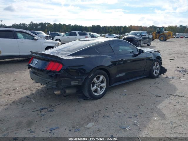 Photo 3 VIN: 1FA6P8AM6H5248960 - FORD MUSTANG 