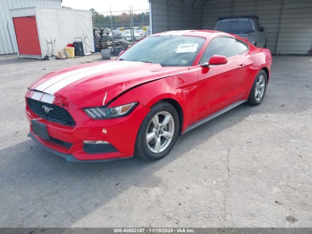 Photo 1 VIN: 1FA6P8AM6H5249512 - FORD MUSTANG 