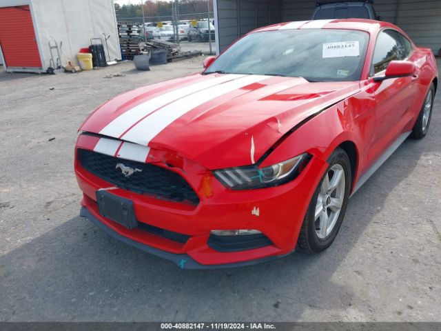 Photo 5 VIN: 1FA6P8AM6H5249512 - FORD MUSTANG 