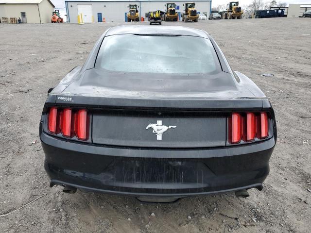 Photo 5 VIN: 1FA6P8AM6H5255276 - FORD MUSTANG 