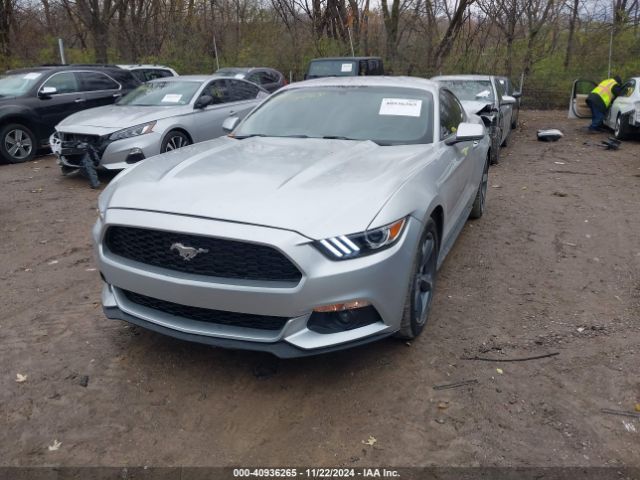 Photo 1 VIN: 1FA6P8AM7F5314199 - FORD MUSTANG 