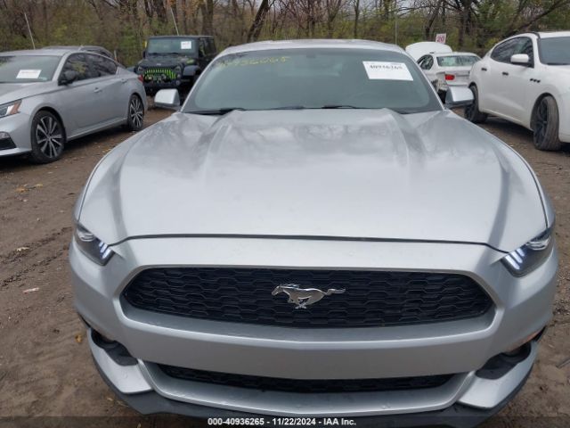 Photo 5 VIN: 1FA6P8AM7F5314199 - FORD MUSTANG 