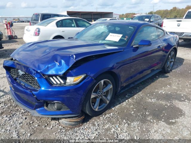 Photo 1 VIN: 1FA6P8AM7F5353696 - FORD MUSTANG 