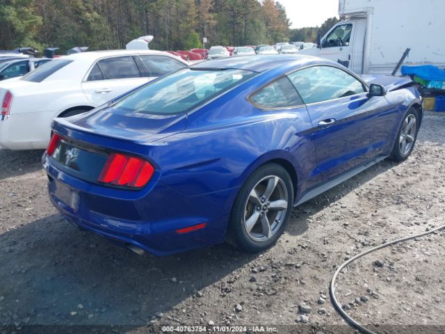 Photo 3 VIN: 1FA6P8AM7F5353696 - FORD MUSTANG 