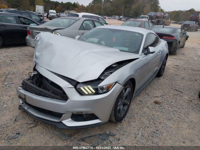 Photo 1 VIN: 1FA6P8AM7F5354153 - FORD MUSTANG 