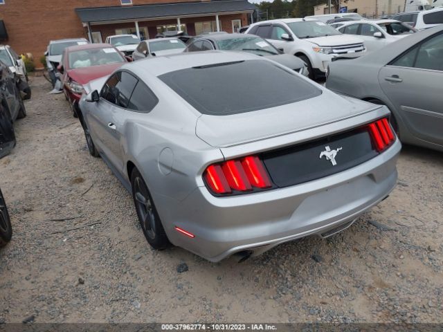 Photo 2 VIN: 1FA6P8AM7F5354153 - FORD MUSTANG 