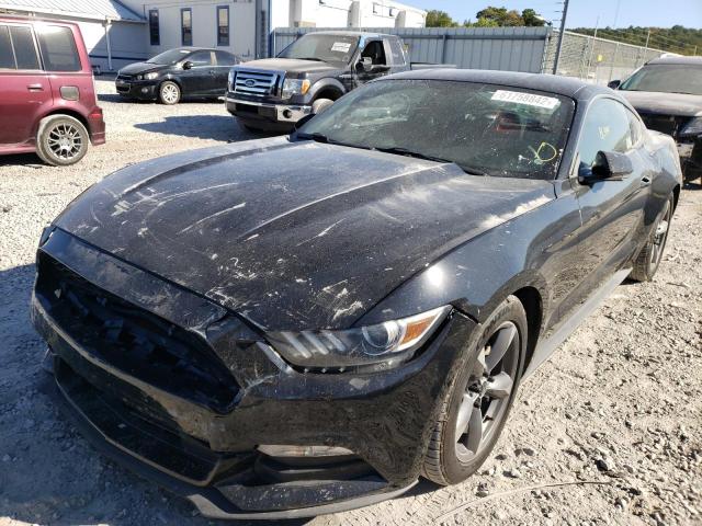 Photo 1 VIN: 1FA6P8AM7F5358624 - FORD MUSTANG 