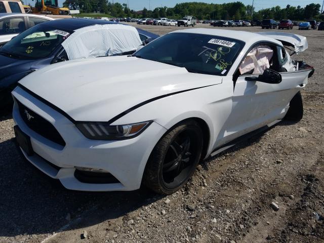 Photo 1 VIN: 1FA6P8AM7F5362852 - FORD MUSTANG 