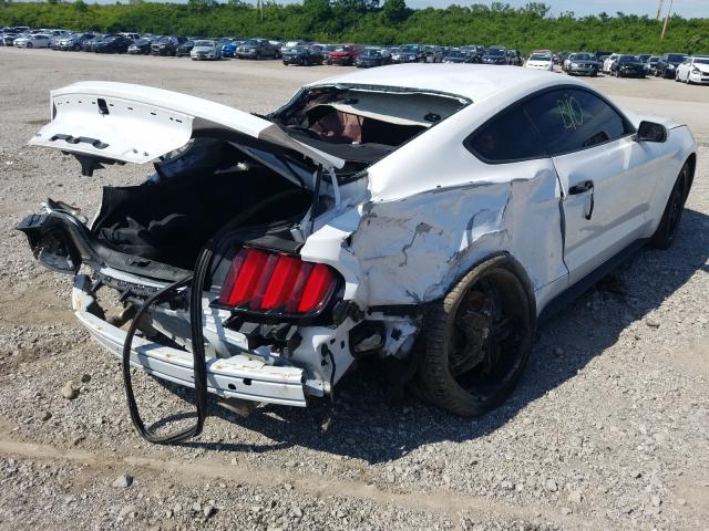 Photo 3 VIN: 1FA6P8AM7F5362852 - FORD MUSTANG 