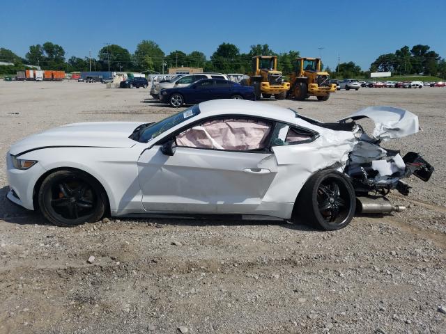 Photo 9 VIN: 1FA6P8AM7F5362852 - FORD MUSTANG 