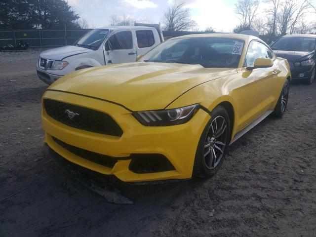 Photo 1 VIN: 1FA6P8AM7F5368263 - FORD MUSTANG 