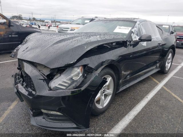 Photo 1 VIN: 1FA6P8AM7F5371258 - FORD MUSTANG 