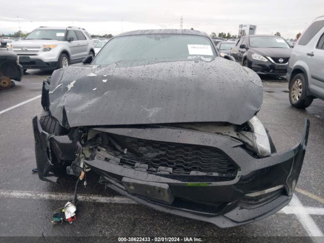 Photo 5 VIN: 1FA6P8AM7F5371258 - FORD MUSTANG 