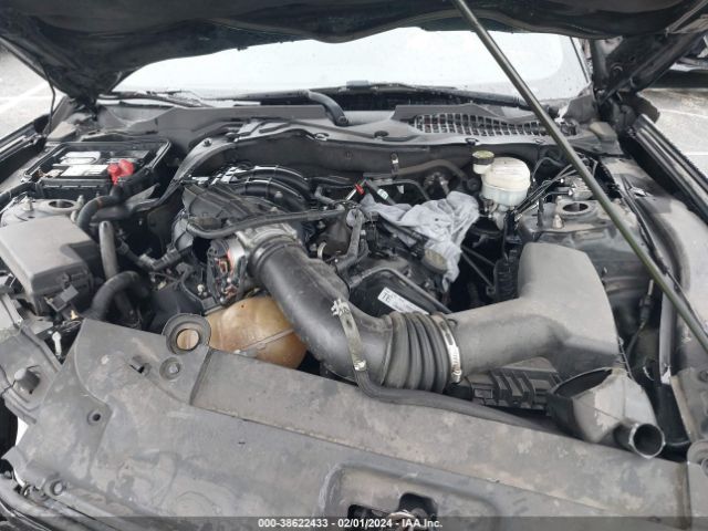 Photo 9 VIN: 1FA6P8AM7F5371258 - FORD MUSTANG 