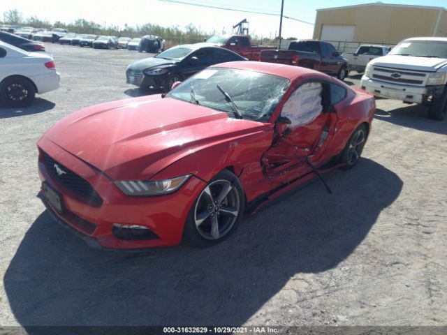 Photo 1 VIN: 1FA6P8AM7F5381577 - FORD MUSTANG 