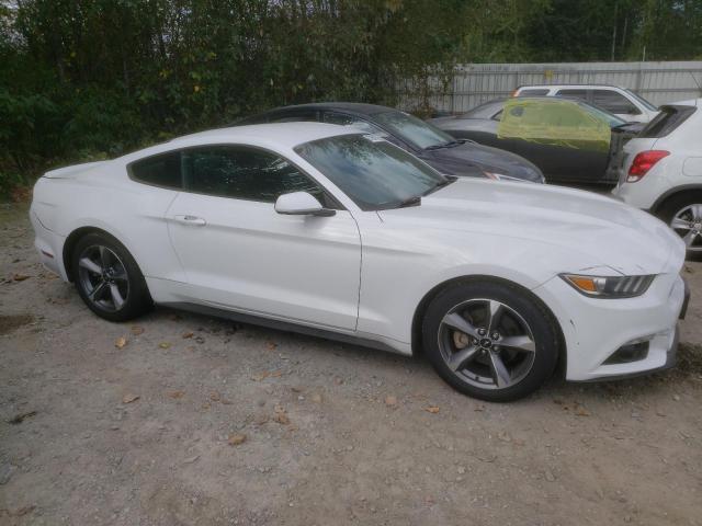 Photo 3 VIN: 1FA6P8AM7F5383684 - FORD MUSTANG 