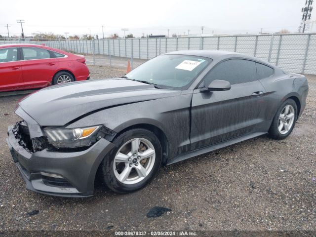 Photo 1 VIN: 1FA6P8AM7F5392188 - FORD MUSTANG 