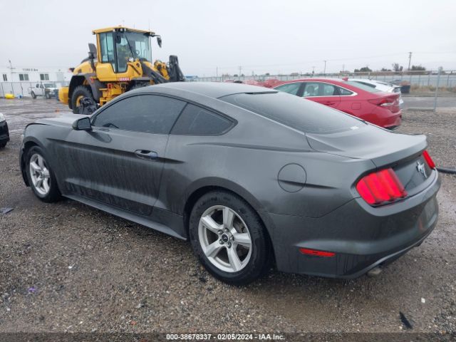 Photo 2 VIN: 1FA6P8AM7F5392188 - FORD MUSTANG 