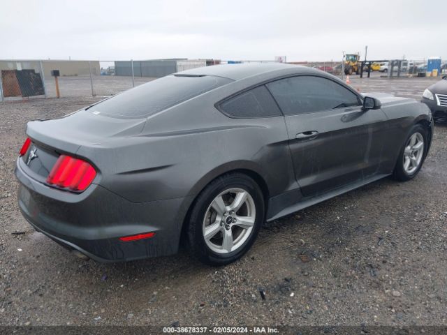 Photo 3 VIN: 1FA6P8AM7F5392188 - FORD MUSTANG 