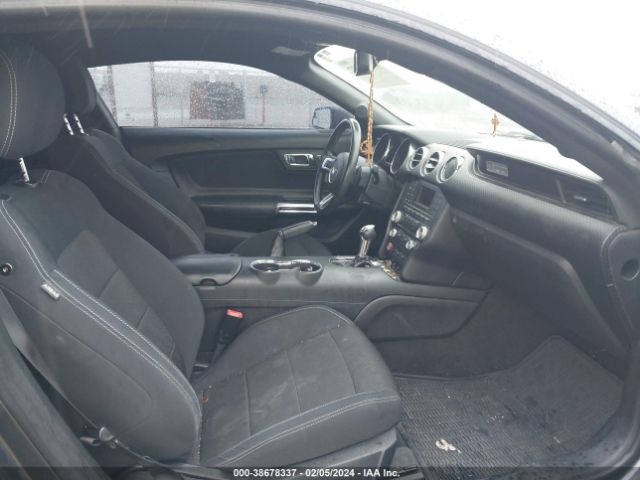 Photo 4 VIN: 1FA6P8AM7F5392188 - FORD MUSTANG 