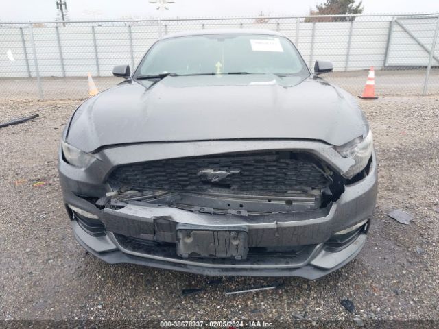 Photo 5 VIN: 1FA6P8AM7F5392188 - FORD MUSTANG 