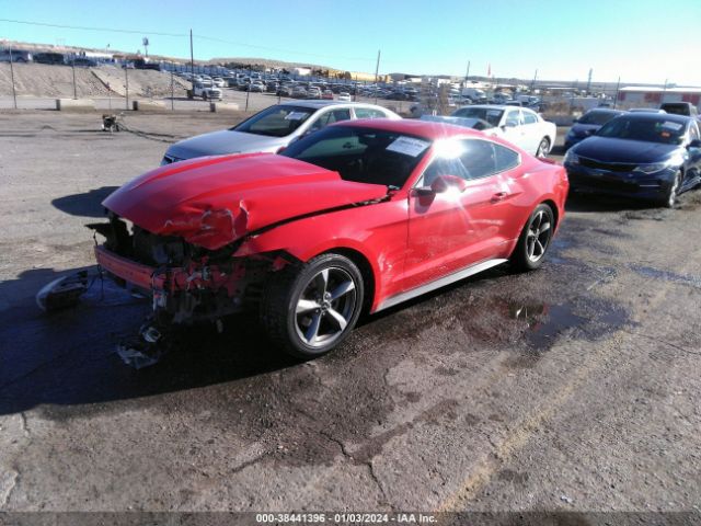 Photo 1 VIN: 1FA6P8AM7F5408440 - FORD MUSTANG 