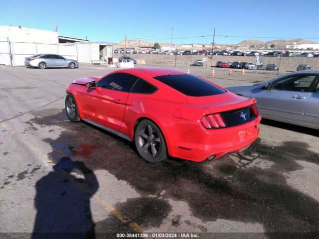 Photo 2 VIN: 1FA6P8AM7F5408440 - FORD MUSTANG 