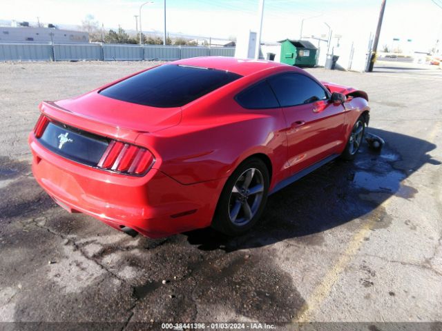 Photo 3 VIN: 1FA6P8AM7F5408440 - FORD MUSTANG 