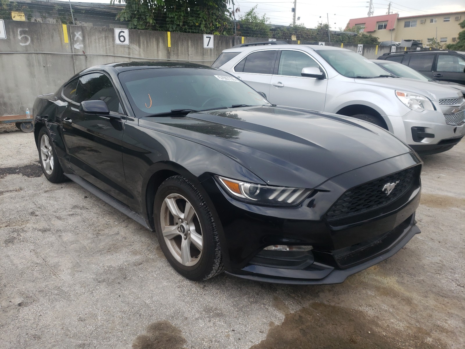 Photo 0 VIN: 1FA6P8AM7F5431359 - FORD MUSTANG 