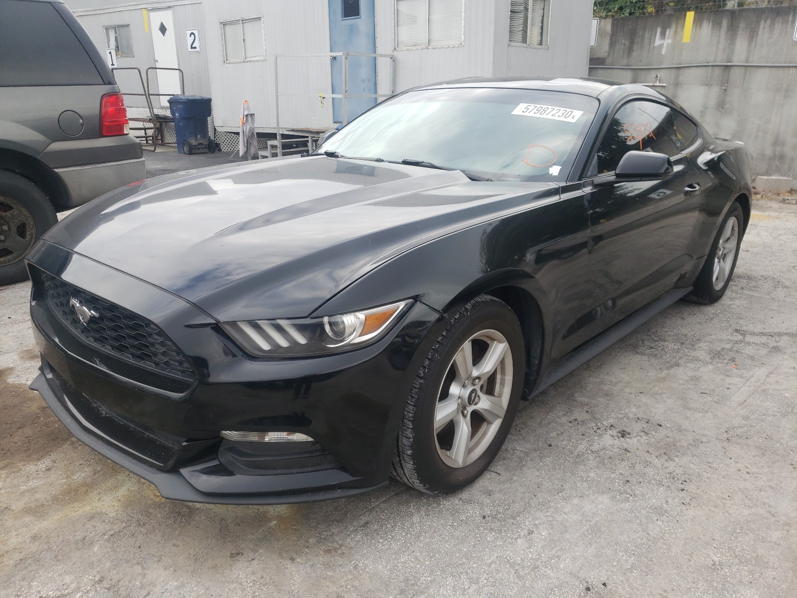 Photo 1 VIN: 1FA6P8AM7F5431359 - FORD MUSTANG 