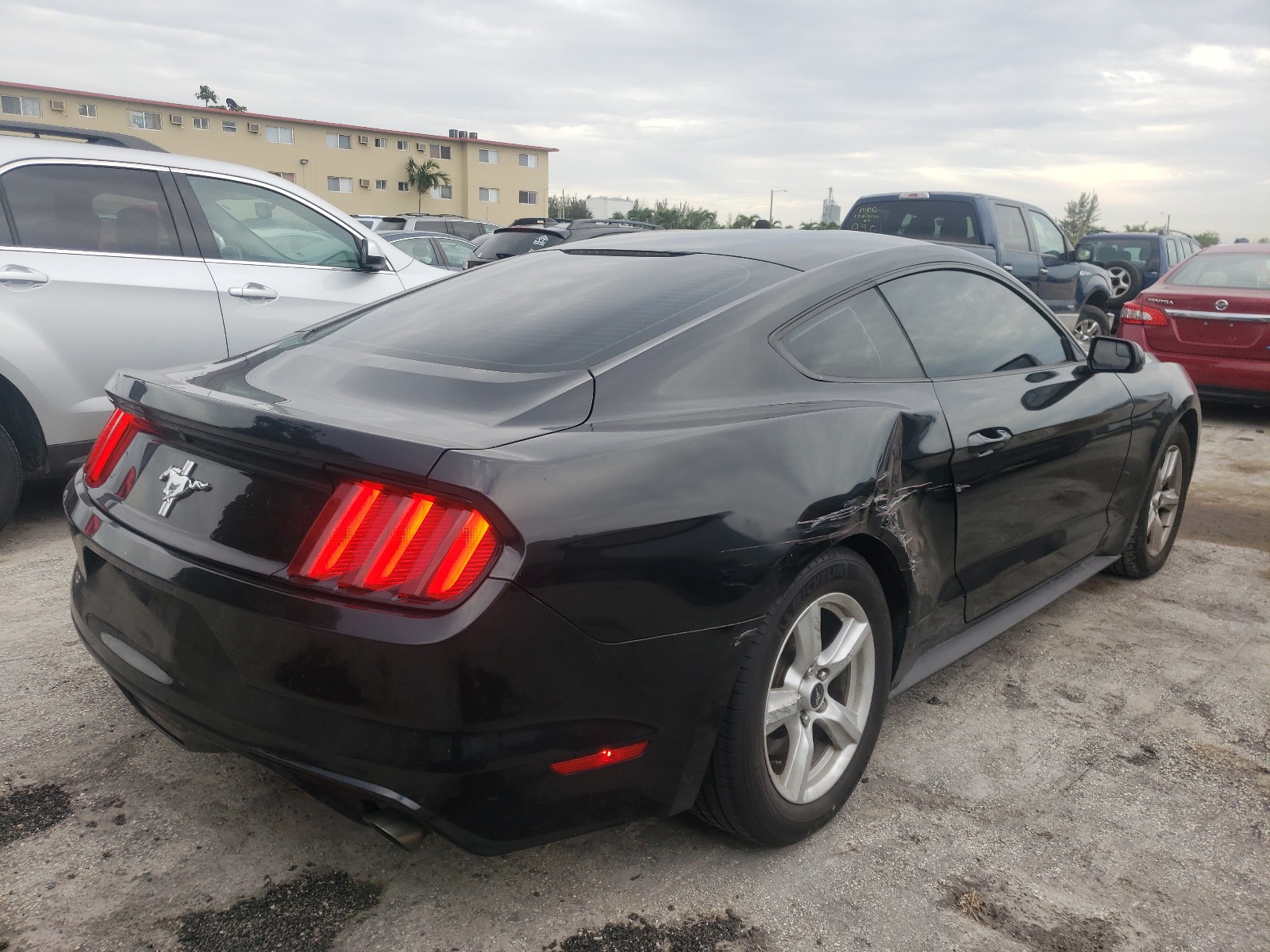 Photo 3 VIN: 1FA6P8AM7F5431359 - FORD MUSTANG 