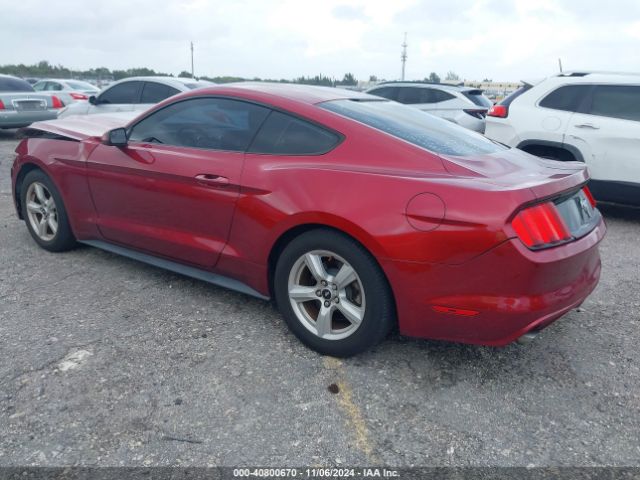 Photo 2 VIN: 1FA6P8AM7G5219174 - FORD MUSTANG 