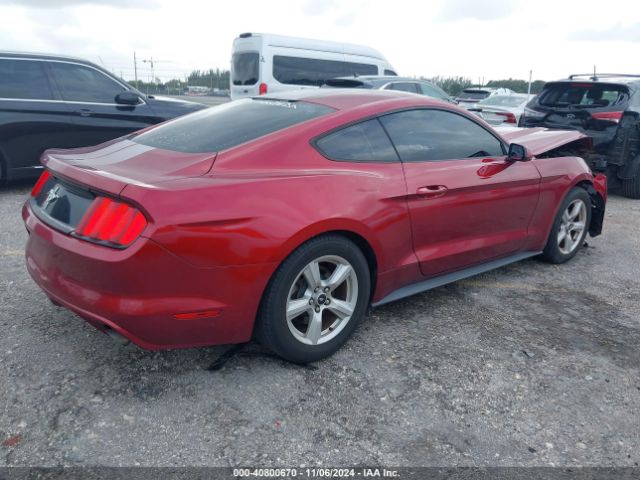 Photo 3 VIN: 1FA6P8AM7G5219174 - FORD MUSTANG 