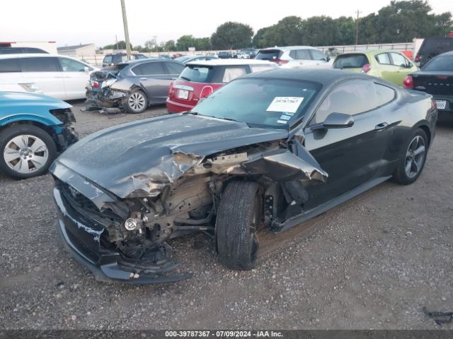 Photo 1 VIN: 1FA6P8AM7G5256600 - FORD MUSTANG 