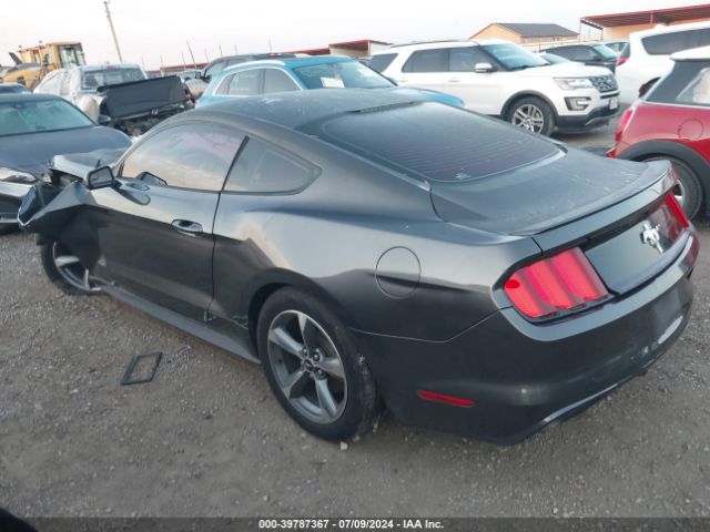 Photo 2 VIN: 1FA6P8AM7G5256600 - FORD MUSTANG 