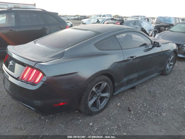 Photo 3 VIN: 1FA6P8AM7G5256600 - FORD MUSTANG 