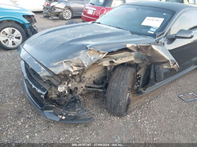 Photo 5 VIN: 1FA6P8AM7G5256600 - FORD MUSTANG 