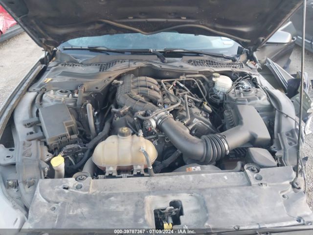 Photo 9 VIN: 1FA6P8AM7G5256600 - FORD MUSTANG 