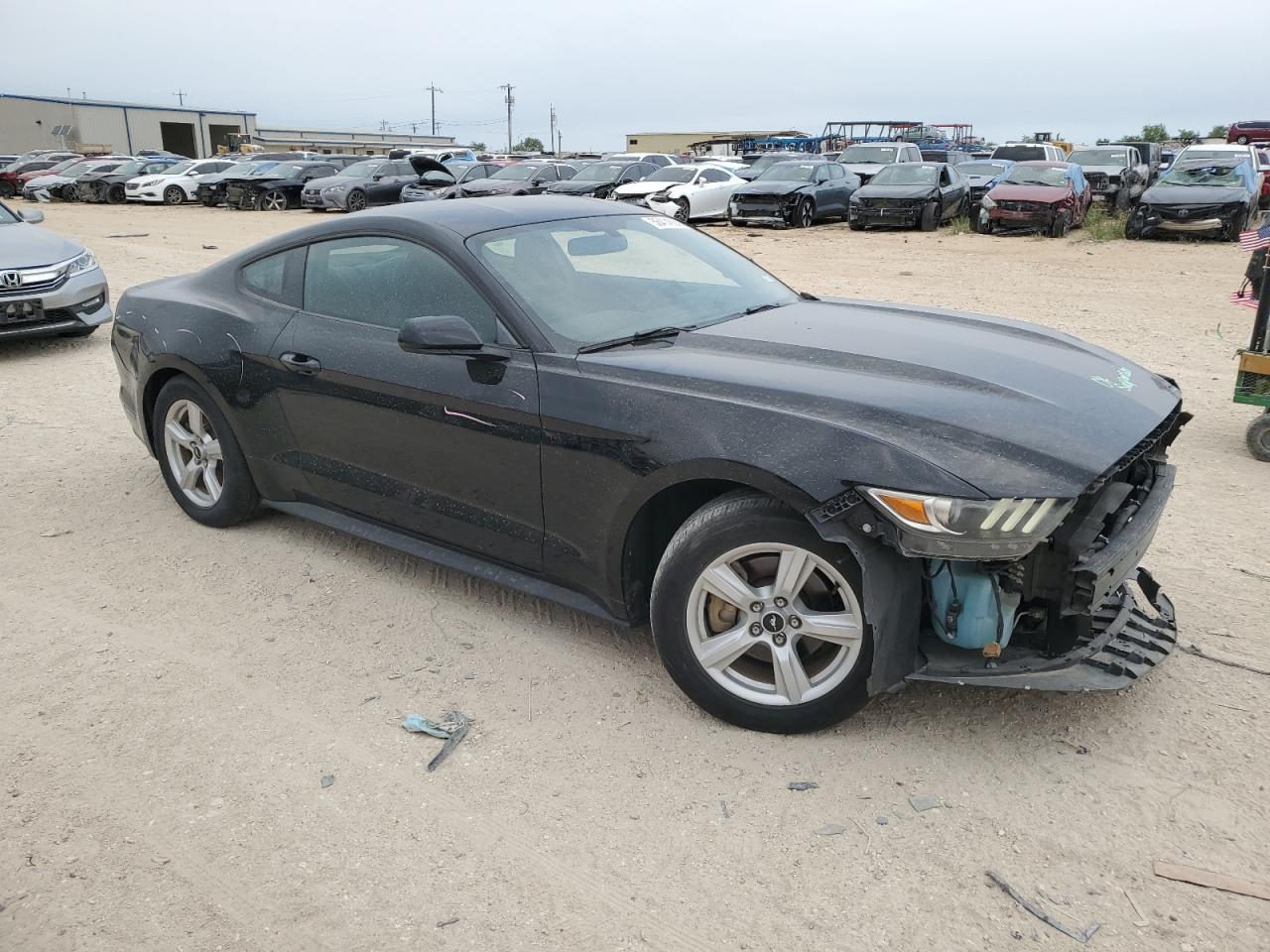 Photo 3 VIN: 1FA6P8AM7G5262025 - FORD MUSTANG 