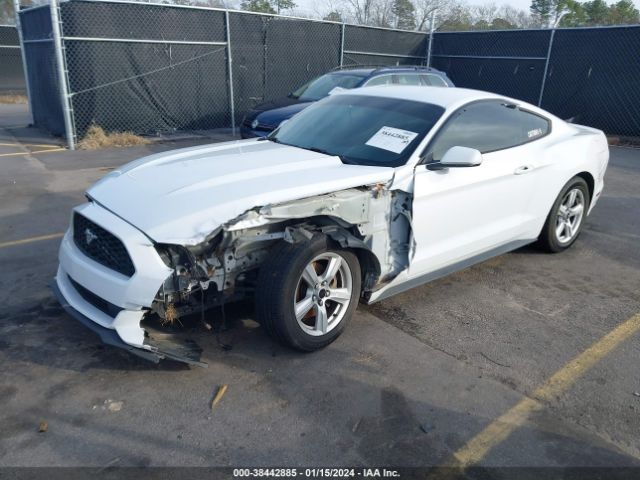 Photo 1 VIN: 1FA6P8AM7G5270853 - FORD MUSTANG 