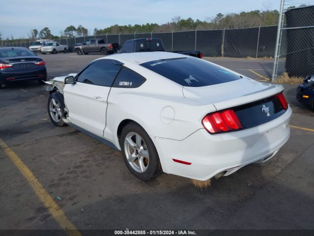 Photo 2 VIN: 1FA6P8AM7G5270853 - FORD MUSTANG 