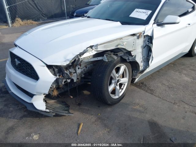 Photo 5 VIN: 1FA6P8AM7G5270853 - FORD MUSTANG 