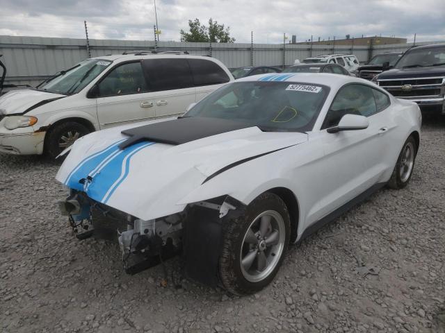 Photo 1 VIN: 1FA6P8AM7G5313474 - FORD MUSTANG 