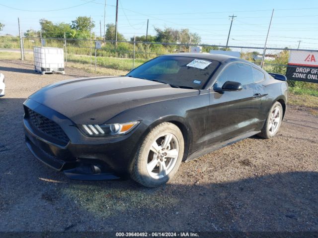 Photo 1 VIN: 1FA6P8AM7G5327116 - FORD MUSTANG 