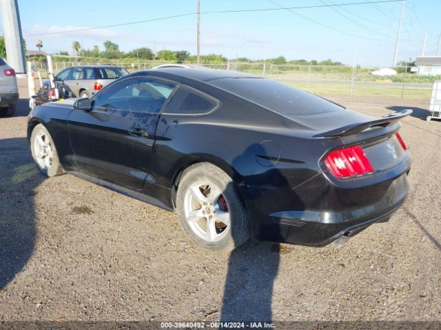 Photo 2 VIN: 1FA6P8AM7G5327116 - FORD MUSTANG 