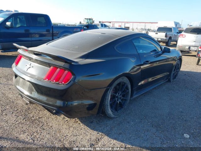 Photo 3 VIN: 1FA6P8AM7G5327116 - FORD MUSTANG 